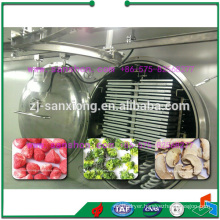 Fruit Vacuum Freeze Drying machine
